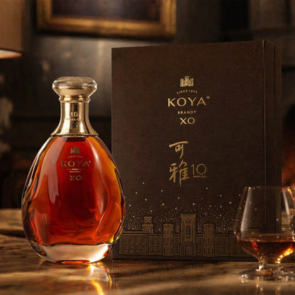 KOYA　XO　10年